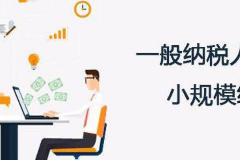 拉薩的一般納稅人和小規模納稅人納稅方式以及認定資格是什么？同內地企業有區別嗎？