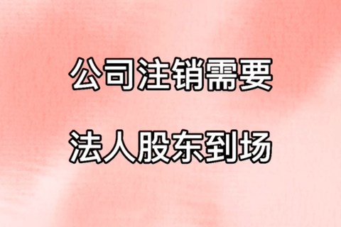 拉薩公司注銷，需要法人、股東到場嗎？