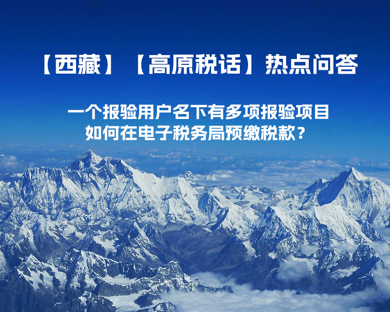 一個報驗用戶名下有多項報驗項目，如何在電子稅務局預繳稅款？