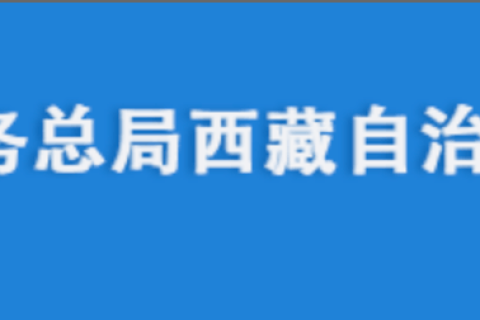 電腦更換后，自然人電子稅務(wù)局扣繳端申報(bào)收入額如何進(jìn)行累計(jì)？