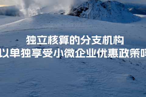 獨立核算的分支機構可以單獨享受小微企業優惠政策嗎？