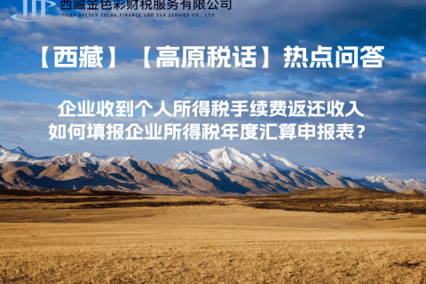 企業收到個人所得稅手續費返還收入，如何填報企業所得稅年度匯算申報表？
