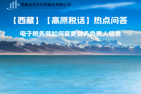 西藏電子稅務(wù)局如何變更財(cái)務(wù)負(fù)責(zé)人信息？